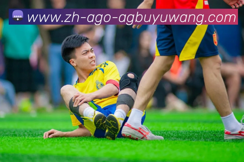 AG捕鱼王官网发展历程